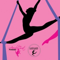 Aerial Workshop - Half Term